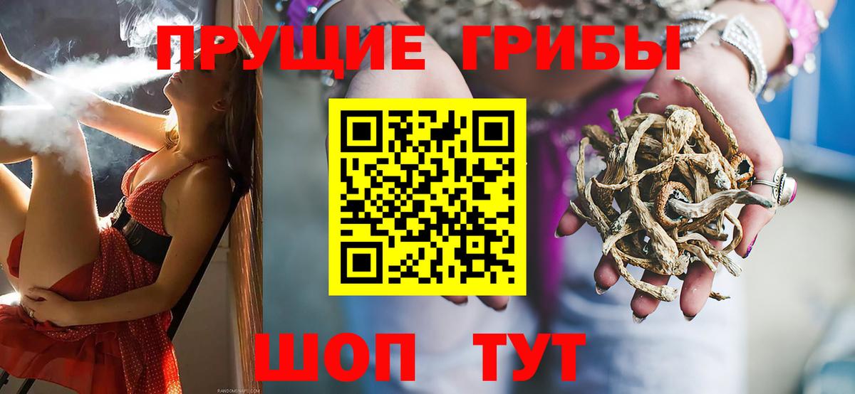 Галлюциногенные грибы мухоморы Горно-Алтайск